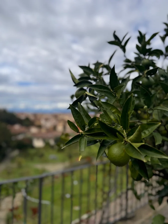 Toskania wyjazd dla kobiet